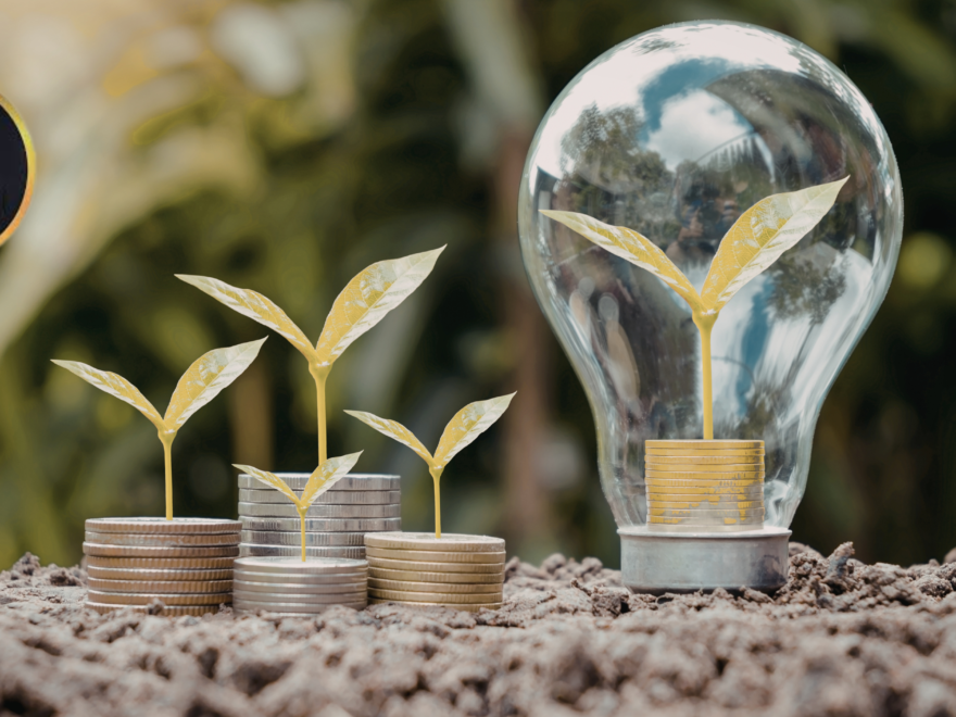 Ideias Lucrativas Para Começar com Pouco Dinheiro